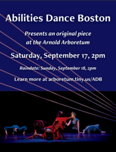 Abilities Dance Boston poster with dancers on stage floor in crawling positions. Center dancer reaches right arm forward.