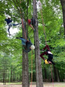Four dancers in helmets and harnesses hang from trees