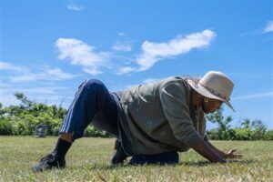 Dancer in loose pants, sweater and a hat kneels on the grass and runs arms through the grass.