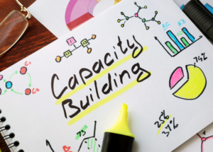 Capacity Building written in the center of a white sheet with multiple graphs and highlighted designs.