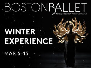 Poster for the event with image of many dancers in a straight line so only the front dancer's body can be seen with many arms behind them.